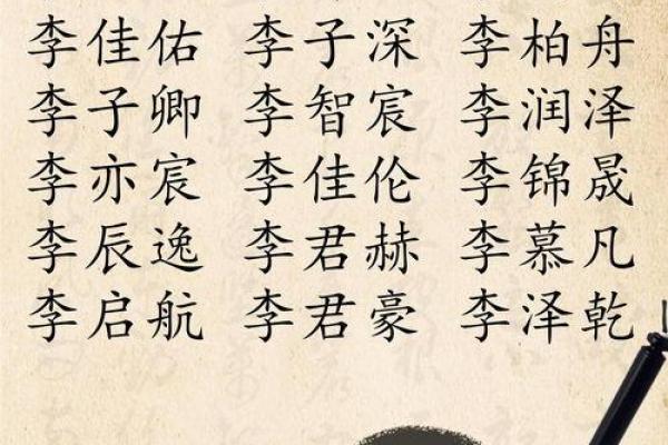 李名字大全男孩名字，选名字男孩名大全集，李起名字大全男孩名字