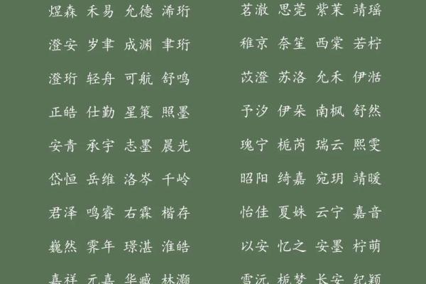 2023男宝宝起名大全，2023男宝宝起名大全免费取名