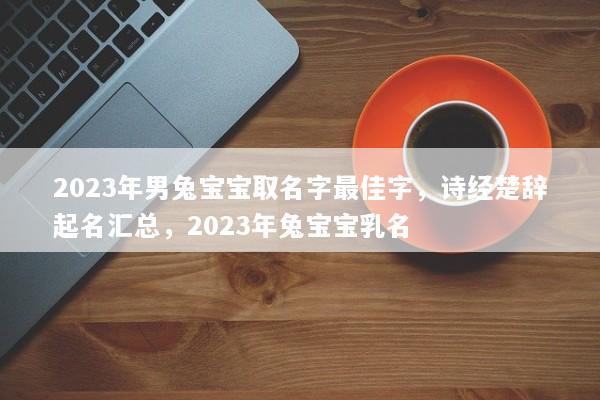 2023年男兔宝宝取名字最佳字，诗经楚辞起名汇总，2023年兔宝宝乳名