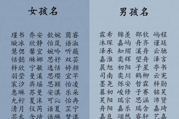 鸡年吉姓男宝宝起名，鸡年男宝宝名字大全