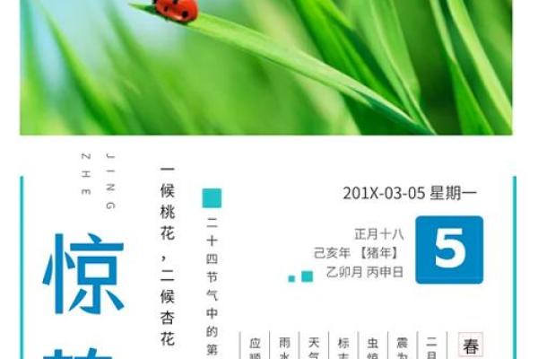 惊蛰是什么节气，惊蛰是什么节气什么意思