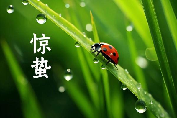 惊蛰是什么节气，惊蛰是什么节气什么意思