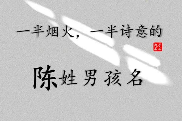 陈姓鸡宝宝男孩起名，陈姓男宝宝姓名
