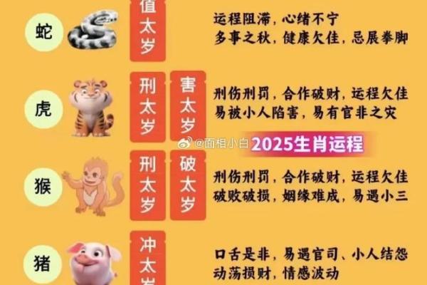 2025年结婚吉日查询_男狗女鼠2025年结婚吉日查询