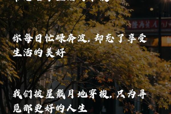 我的日子 我的日子平凡生活中的点滴与感悟