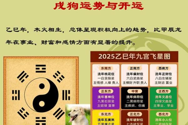 2025年男属鸡女属狗结婚吉日 2025年男属鸡女属狗结婚吉日精选指南
