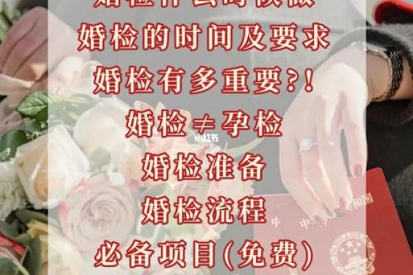 如何快速查询领证日期详细攻略