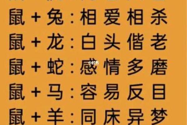 2025年属猪与属鼠结婚吉日大全最佳婚期推荐
