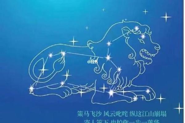 狮子座今日运势第一星座屋_狮子座今日运势  第一星座