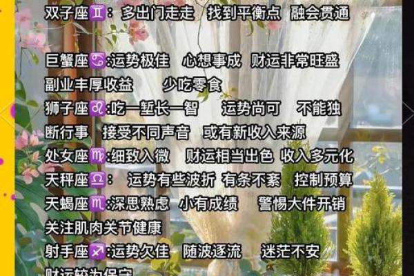 2024年12星座全年运势大揭秘事业爱情财运全解析