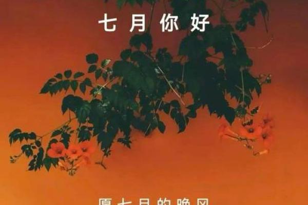 6月7月适合结婚的日子