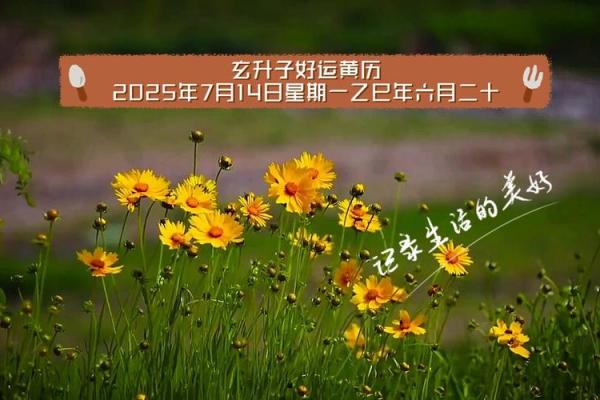 7月14日搬家黄道吉日(7月14日搬家好不好)