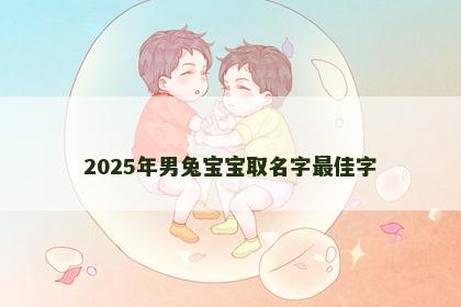 2025年男兔宝宝取名字最佳字