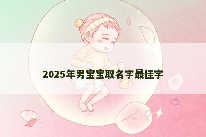 2025年男宝宝取名字最佳字