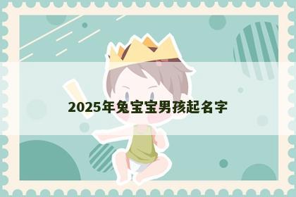 2025年兔宝宝男孩起名字