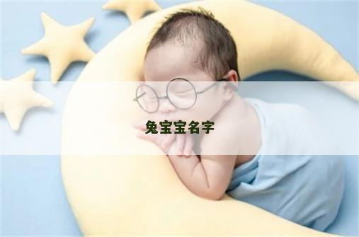 兔宝宝名字