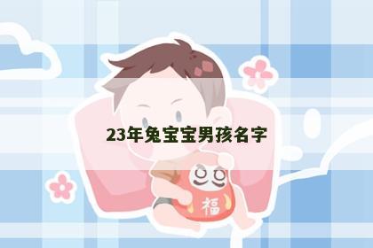 23年兔宝宝男孩名字