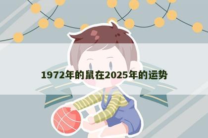 1972年的鼠在2025年的运势