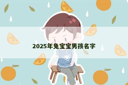 2025年兔宝宝男孩名字