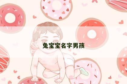 兔宝宝名字男孩