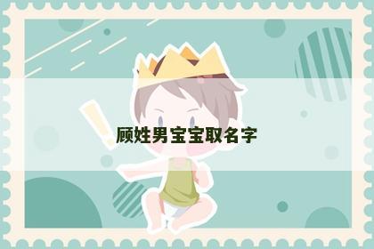 顾姓男宝宝取名字