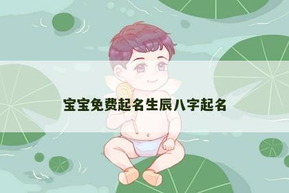 宝宝免费起名生辰八字起名