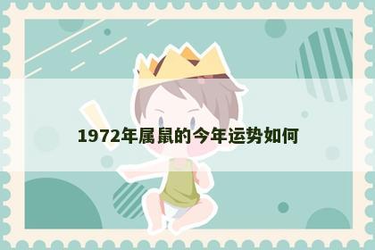 1972年属鼠的今年运势如何