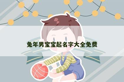 兔年男宝宝起名字大全免费