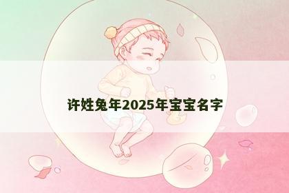许姓兔年2025年宝宝名字