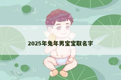 2025年兔年男宝宝取名字