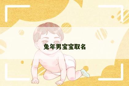 兔年男宝宝取名