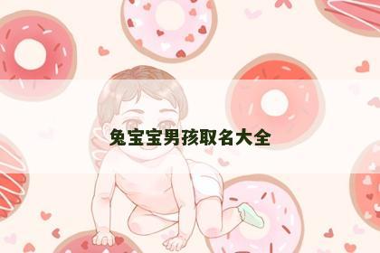 兔宝宝男孩取名大全