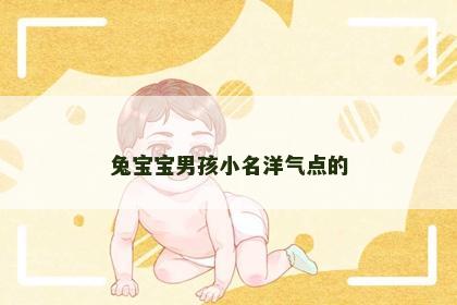 兔宝宝男孩小名洋气点的