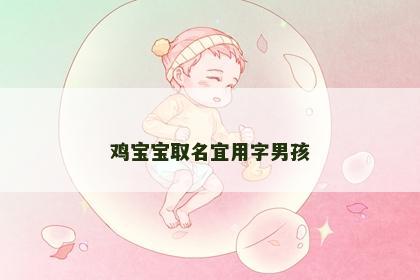 鸡宝宝取名宜用字男孩