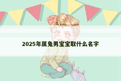 2025年属兔男宝宝取什么名字