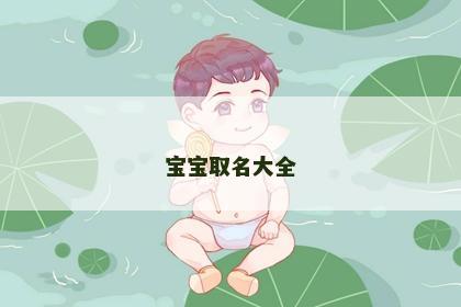 宝宝取名大全