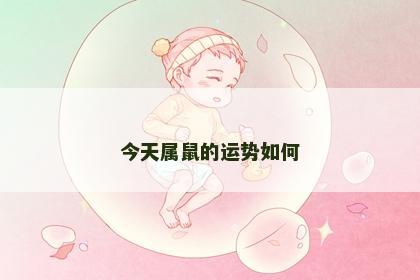 今天属鼠的运势如何