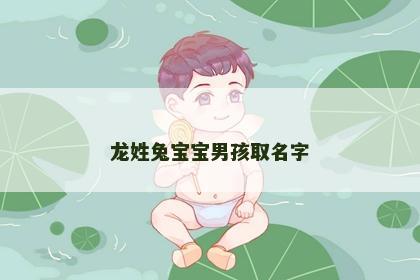龙姓兔宝宝男孩取名字