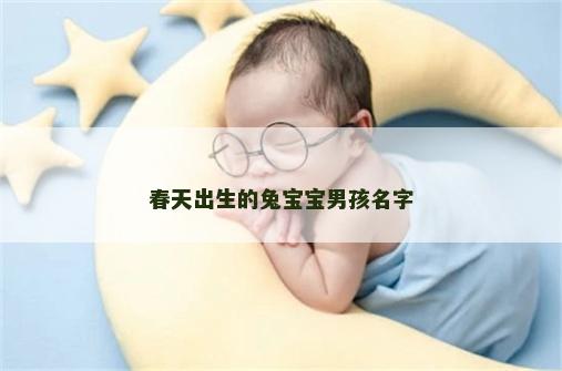 春天出生的兔宝宝男孩名字