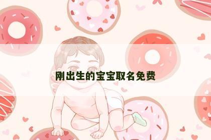 刚出生的宝宝取名免费