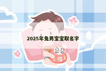 2025年兔男宝宝取名字