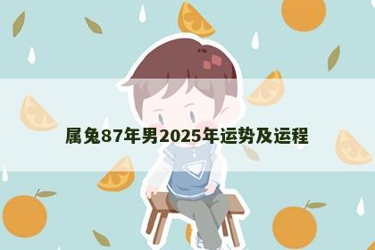 属兔87年男2025年运势及运程
