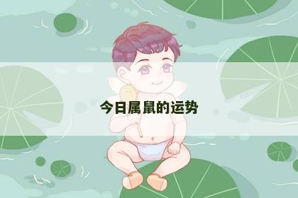 今日属鼠的运势