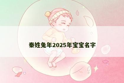 秦姓兔年2025年宝宝名字
