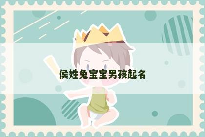 侯姓兔宝宝男孩起名