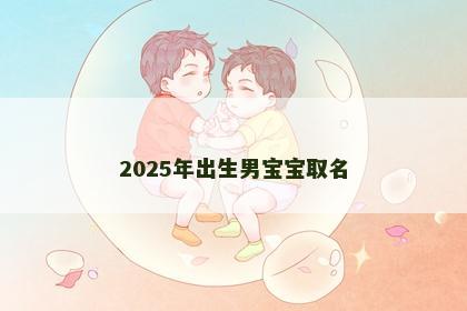 2025年出生男宝宝取名