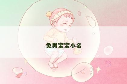 兔男宝宝小名