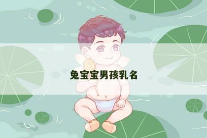 兔宝宝男孩乳名