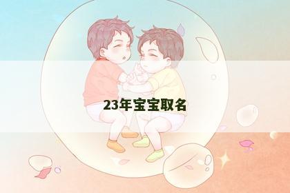 23年宝宝取名