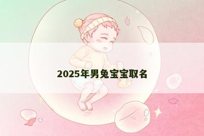 2025年男兔宝宝取名
